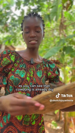 Understanding the Smell of Cow Dung