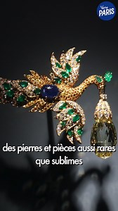 30K views · 688 reactions | Van Cleef & Arpels s'expose au Muséum national d'Histoire naturelle et c'est sublime   | Vivre Paris | Facebook