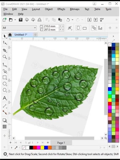 CorelDRAW Water Drop Effect Tutorial Hindi | Realistic Leaf Effect I water drop effect in CorelDRAW