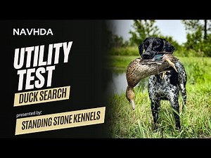 NAVHDA Utility Test - Duck Search
