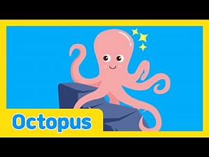 The Underwater Talent Show🐠| Octopus | Kids Educational Video | Learn With Lotty Friends