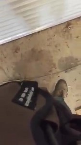 Hard to film Run hunt ride drive walk never need b in your hands Gear holder in the back also | Pig Dog Supplies