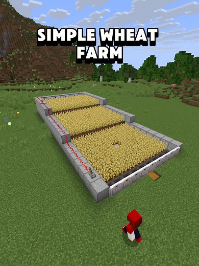 Simple Wheat Farm Design in Minecraft Survival