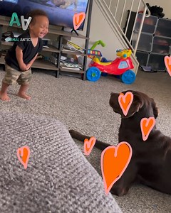 The cutest game of tag, ever😍 | Animal Antics