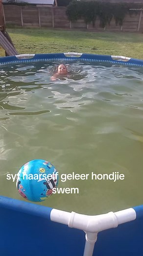 Natasha Barnard (@natasha.barnard08)’s videos with original sound - Natasha Barnard