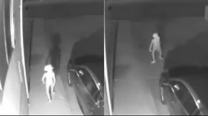 Watch: -'Dobby the elf-' captured on security camera, video goes viral | Watch: \'Dobby the elf\' captured on security camera, video goes viral