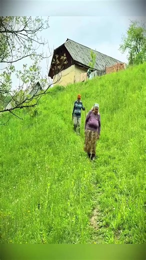 Gardening and Cooking Tips for a Healthy Lifestyle