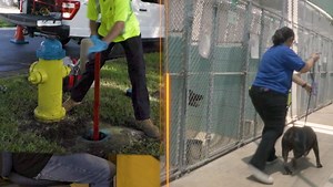 RISE Intern: Farrah Hanna profile