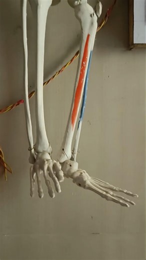 #ytshorts #horror #ghost #horrorstories #horrorgaming #shorts #