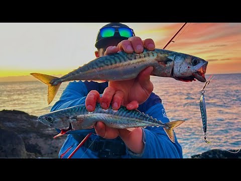 HOW TO CATCH MACKEREL - Using Feathers and Jigging metals - Sea Fishing UK