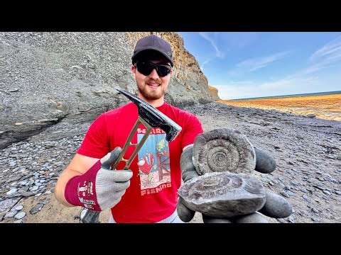 ASMR Fossil Hunting | Silent Beach Digging & Discoveries