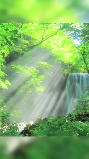 心が疲れた時に行きたい観光スポット4選 #おすすめ #観光スポット #観光スポット紹介 #心が疲れた時に行きたい #旅行 #旅行vlog #旅行動画