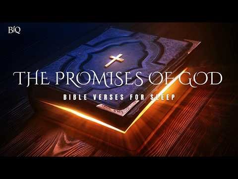 The Promises of God | Bible Verses For Sleep