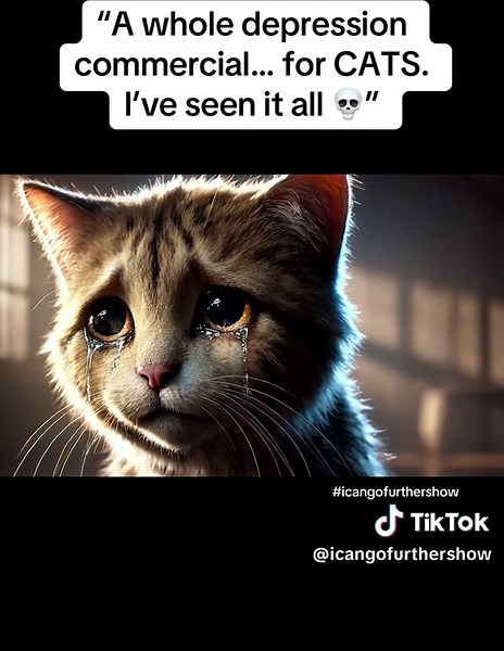 Hilarious Cat Antidepressant Commercial Revealed!