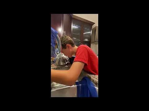 Kid eats Carolina Reaper (World's Hottest Pepper)!!!!! (BIG MISTAKE)