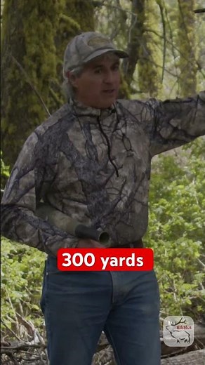 ElkNut Slow Play Sequence - Short 3 #elk #elkhunting #elkcalling #bowhunting #publiclandhunting