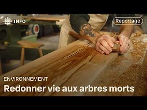 A craftsman transforms the wood from pruned trees | Green Week