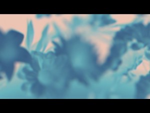 Made Beautiful Loop 06 | Timber & Pearl