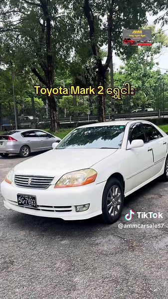 A M M သည် TikTok ပေါ်တွင် ရှိသည်