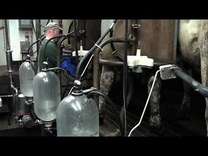 Mat-Su Farm Tours: Havemeister Dairy