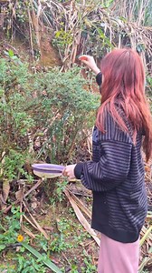 12K views · 1.1K reactions | Adobo casero fácil y rápido para el pollo 龍 #recetas #receta #recetasfaciles #tutorial #pollo #polloadobado #adobo #cooking #cook #cocina #fypシ #fypviral #virals #viral #viralvideos #viralreels #viralshorts | Ximena Lazaro | Facebook