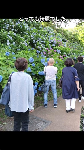 小松市 求人募集 建設塗装業 職人 楽しみが多い会社 #shorts