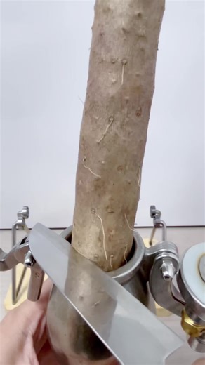 Traditional popcorn machine roasted yam #popcornmachine #diy #cooking