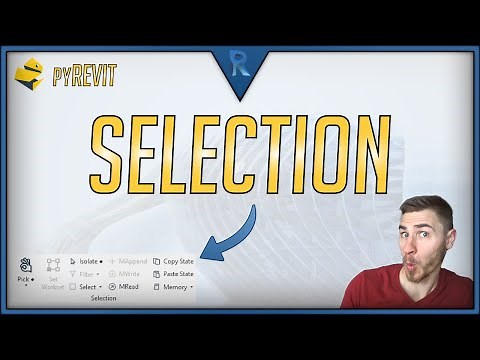 How to Use the Selection Panel in pyRevit | Revit