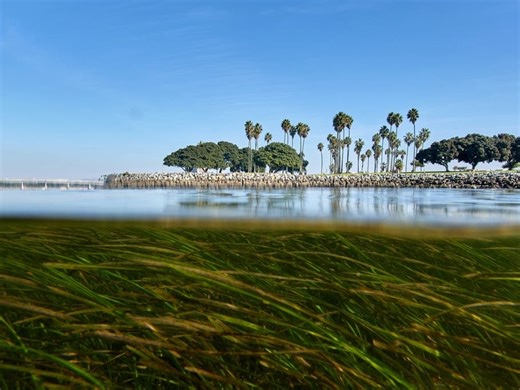 Climate Change Is Outpacing Evolution. Scientists Are Using DNA To Catch Up