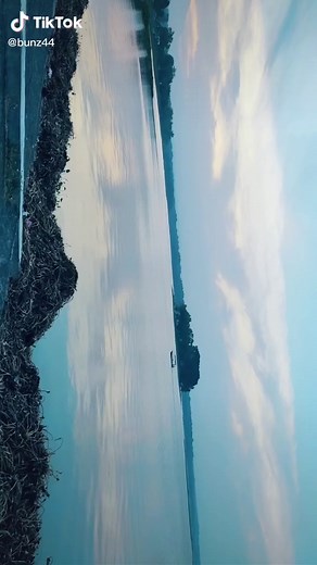 bunz (@bunz44)’s videos with original sound - bunz