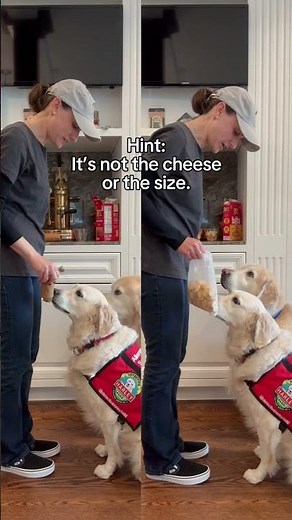 The Ritz Recall: What they didn’t tell you about Ritz Cheese Sandwich Crackers.