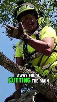 Chainsaw Kickback Horror My Hand Was Cut BAD