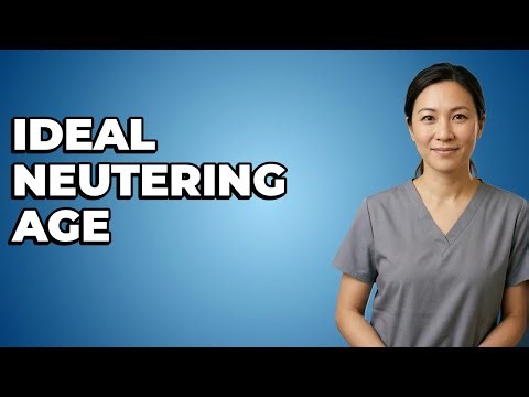 When Should A Male Kitten Be Neutered?