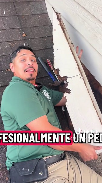 Rotten Tomatoes is equivalent to to rotten wood on the exterior of your home. Siding removal done right. #mondaymotivation #mondayvibes #tiktok #rottentomatoes #exteriorpainting #siding #menos_plus #fyppppppppppppppppppppppp