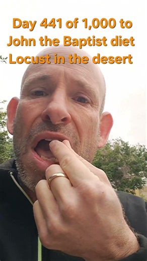 Enjoying a locust in the desert during a rare rain storm