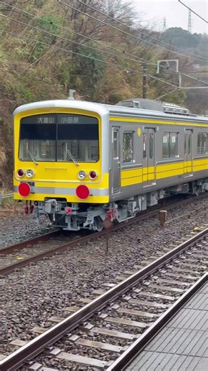 伊豆箱根鉄道5000系5504編成大場出場甲種輸送 函南駅到着