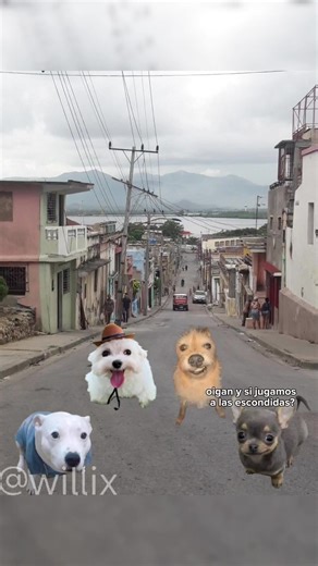 Historias de Perros: Memes que Te Harán Reír