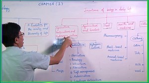 Dr. U.S.A (Bio) B.Sc (Hons:), M.Sc, Ph.D (Zoology) Grade 12 Biology | KMK Myanmar Education Channel