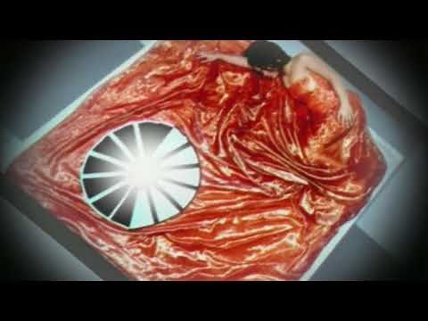 C-Block - Everythings Good (Album Version)