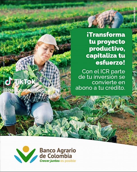 Incentivo a la Capitalización Rural para Productores