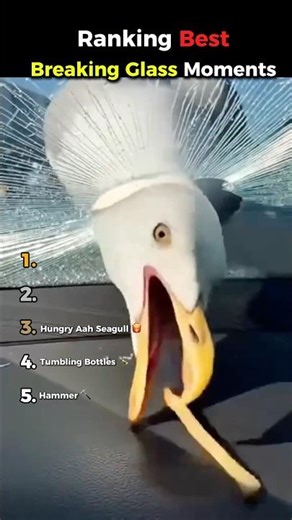 Ranking Best Breaking Glass Fail Moments