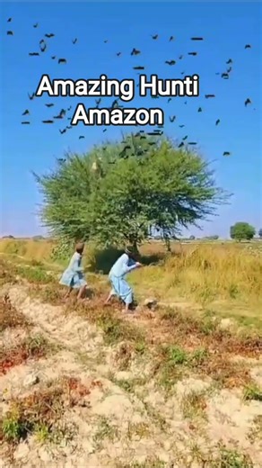 Amazing Hunting Anamal