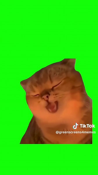 CreatorSet.com Green Screens on TikTok