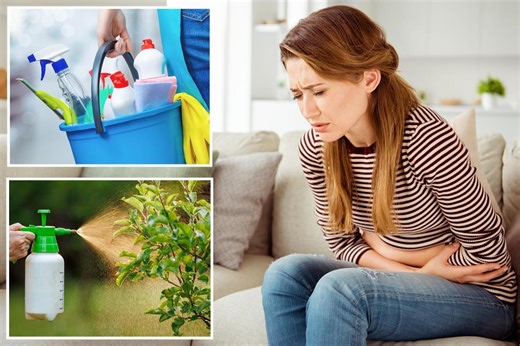 Food additives and pesticides may be harming gut health, study says