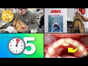 25 Things You Didn't Know 5 Minutes Ago!! ⏰😲 [261]