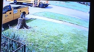 WATCH: A 7-year-old girl was dragged more than 100 feet by a school bus after her backpack got caught in the door. She has been treated and released from the hospital. http://cbsn.ws/1dfYUvd | CBS Evening News