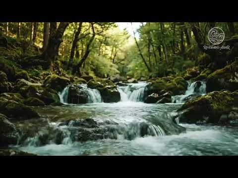 Flowing River Sounds for Deep Focus, Stress Relief & Mental Reset 🌊🧠
