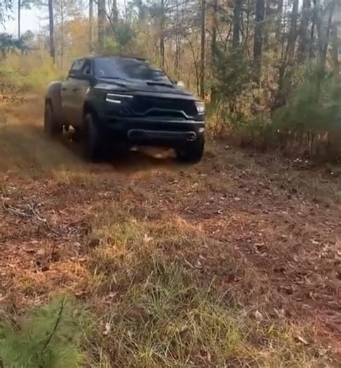 TREX offroad
