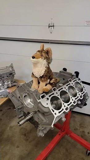 Coyote GEN2 5.0 Engine Assembly! #fordmustang #automobile #fordperformance #cartok #coyoteswap