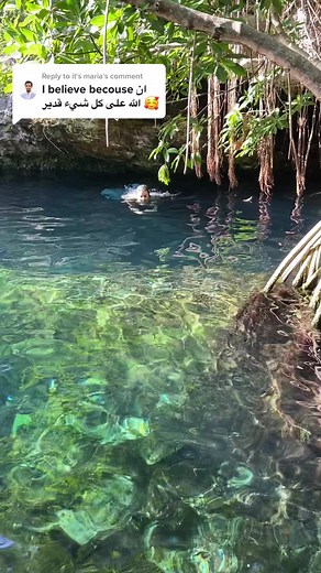 Sia Shells on TikTok